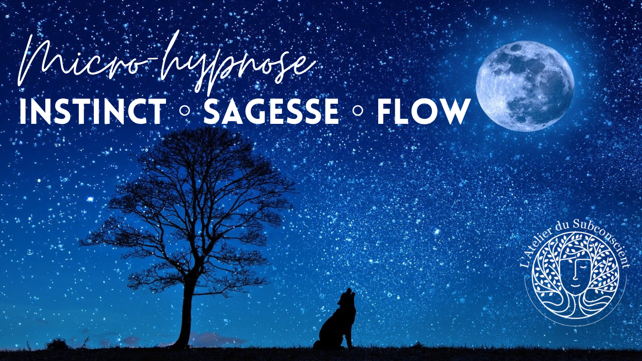 Instinct - Sagesse - Flow